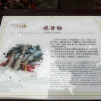 評論圖片 8