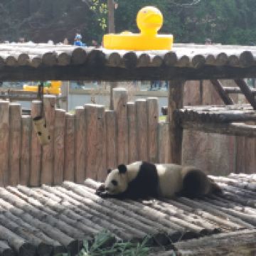 評論圖片 3