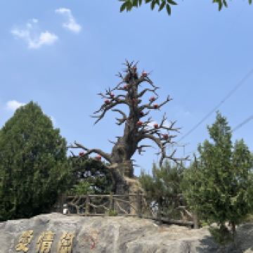 評論圖片 4
