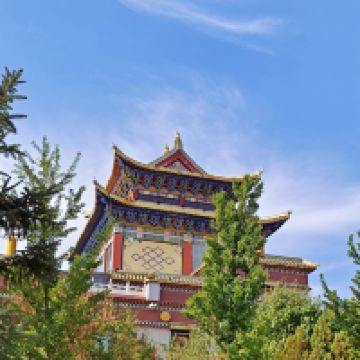評論圖片 8