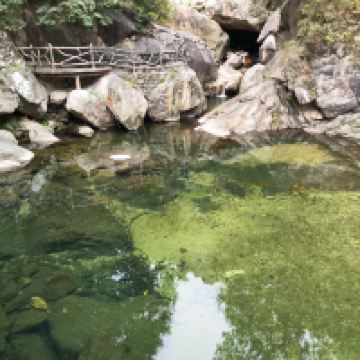 評論圖片 1
