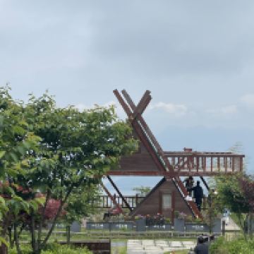 評論圖片 6