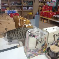評論圖片 9