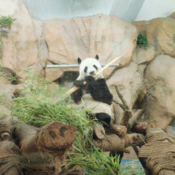 評論圖片 8
