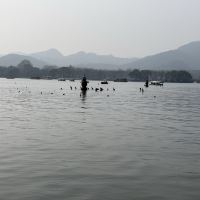 評論圖片 5