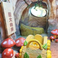 評論圖片 7