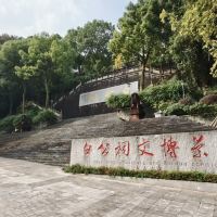 評論圖片 1