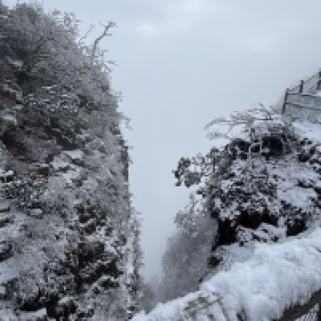 評論圖片 9