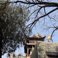 評論圖片 1