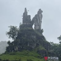 評論圖片 8