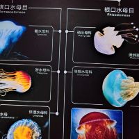 評論圖片 1