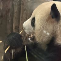 評論圖片 4