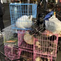 評論圖片 7