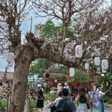 評論圖片 5