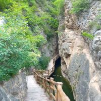 評論圖片 7