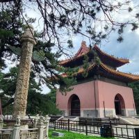 評論圖片 2