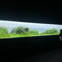 評論圖片 7