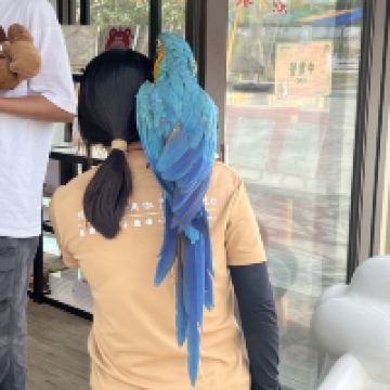 評論圖片 3