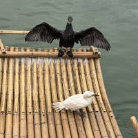 評論圖片 3