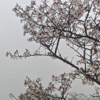 評論圖片 2