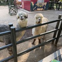 評論圖片 2