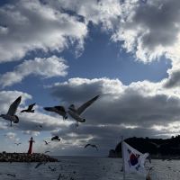 評論圖片 4