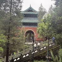 評論圖片 6