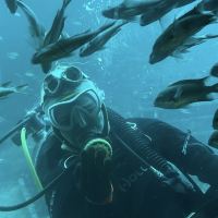 評論圖片 4