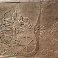 評論圖片 7