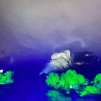評論圖片 7