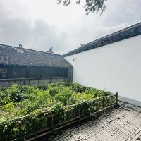 評論圖片 7