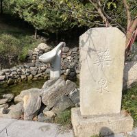 評論圖片 4