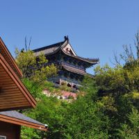 評論圖片 6
