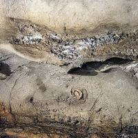 評論圖片 6