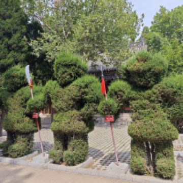 評論圖片 3