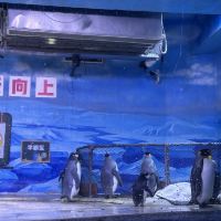 評論圖片 8