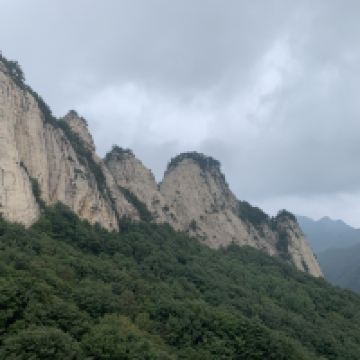 評論圖片 1