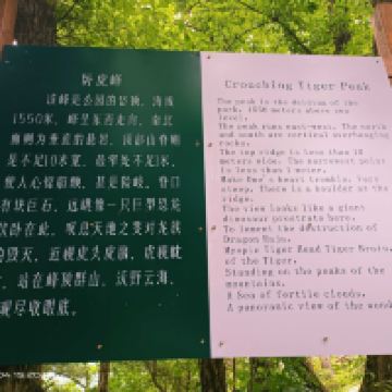 評論圖片 5
