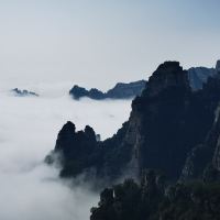 評論圖片 6