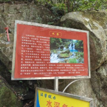 評論圖片 5