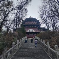 評論圖片 5