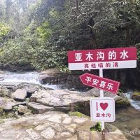評論圖片 4
