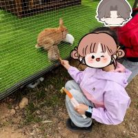 評論圖片 1