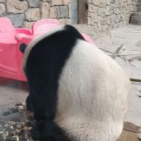 評論圖片 1