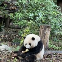 評論圖片 1