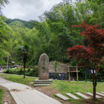 評論圖片 4