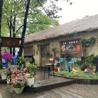 評論圖片 5