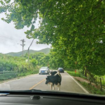 評論圖片 1