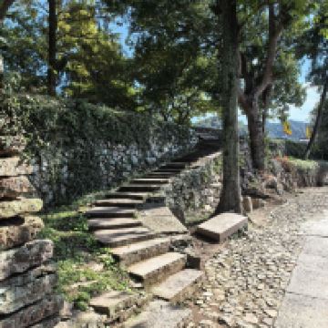 評論圖片 6