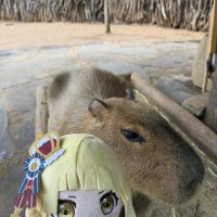 評論圖片 3
